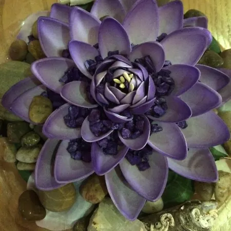 Casa Pelourinho גובאיה